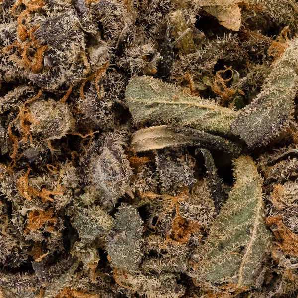 People's Choice - Tahoe OG - Image 5