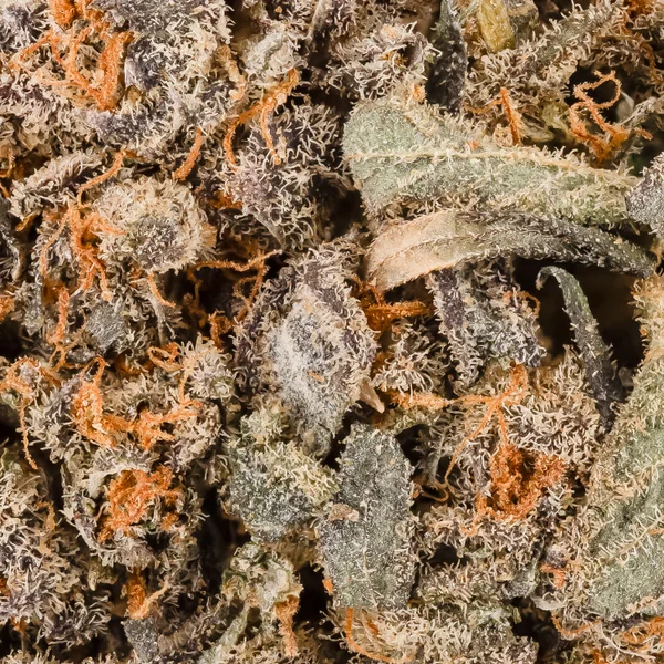 People's Choice - Tahoe OG - Image 6