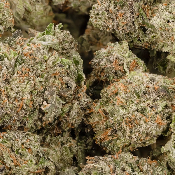 Dollar Treez - Ultra Pink (smalls) - Image 2