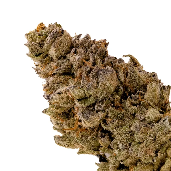 Lucky Farms - White Lightning - Image 4
