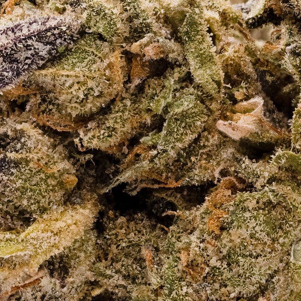 Lucky Farms - White Lightning - Image 5