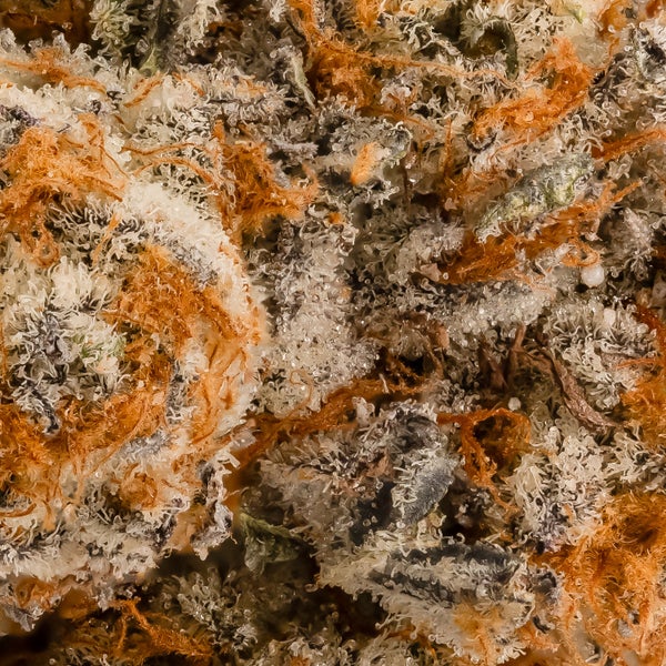 Hoot Cannabis - Zero Gravity - Image 7