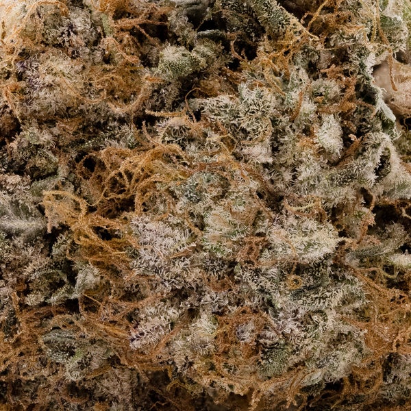 Lucky Farms - 91 Octane - Image 5