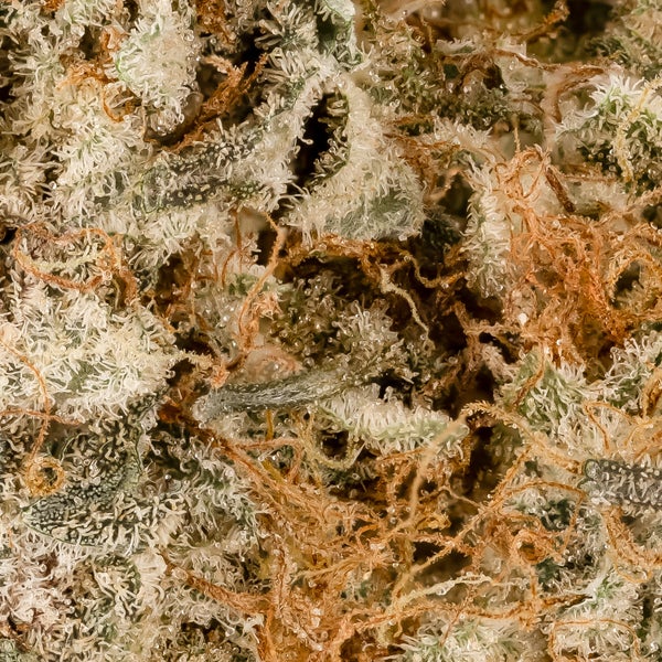 Lucky Farms - 91 Octane - Image 6