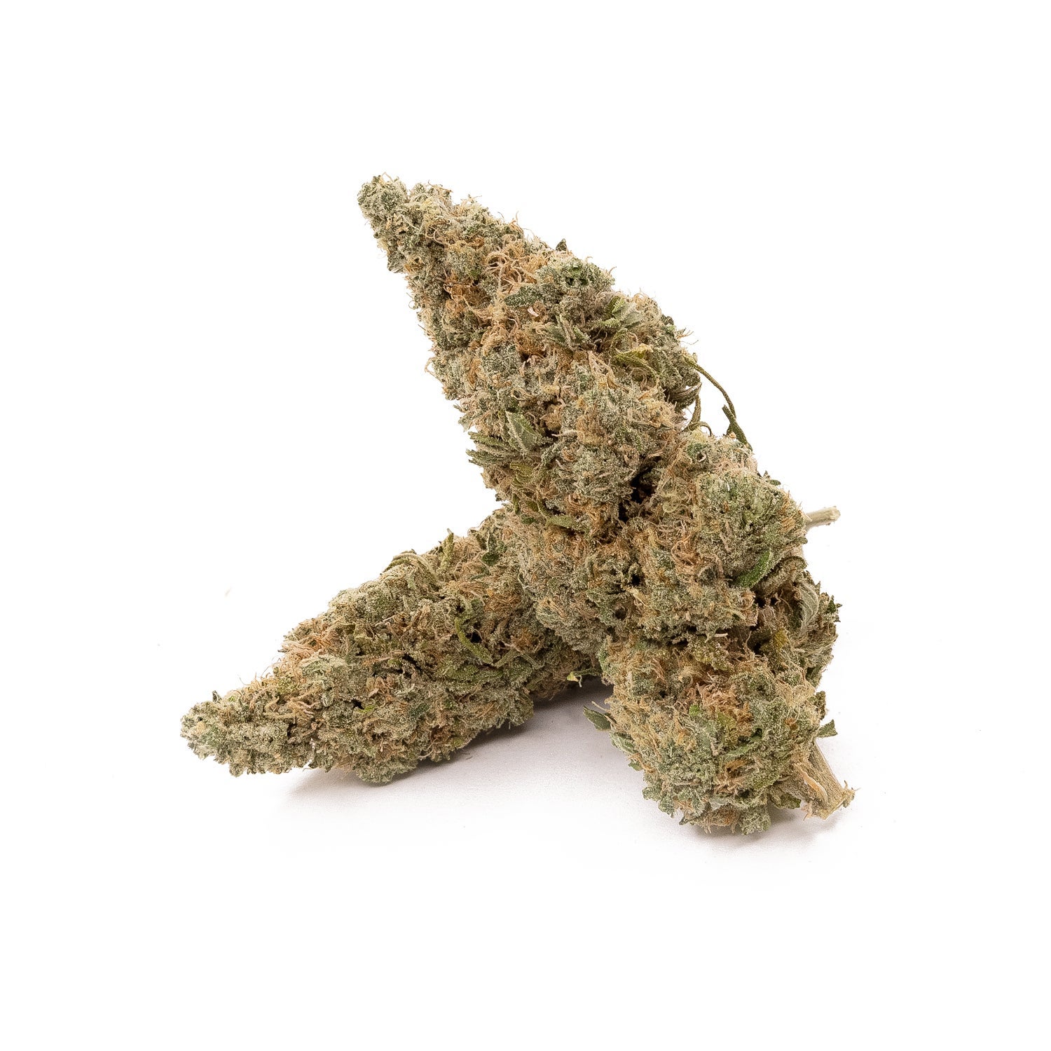 Dollar Treez - AK-47 - Image 3
