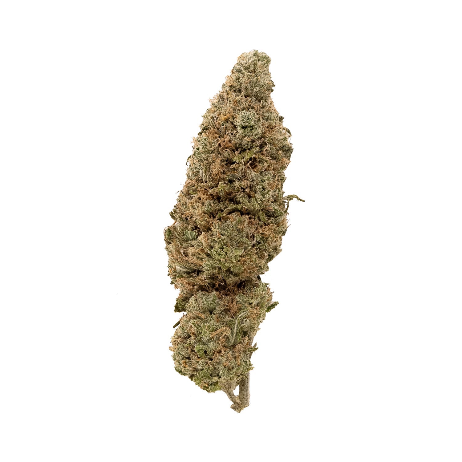 Dollar Treez - AK-47