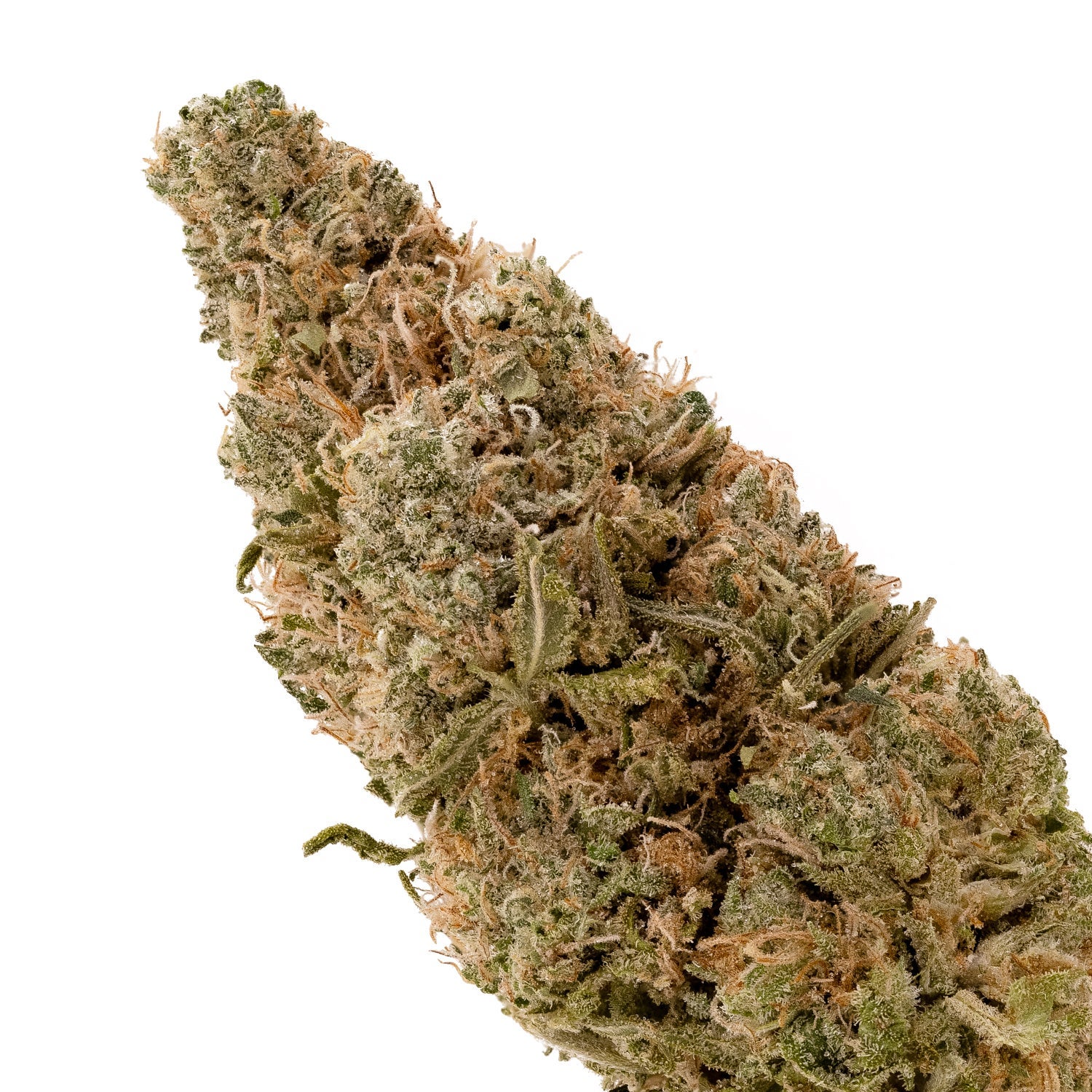 Dollar Treez - AK-47 - Image 4