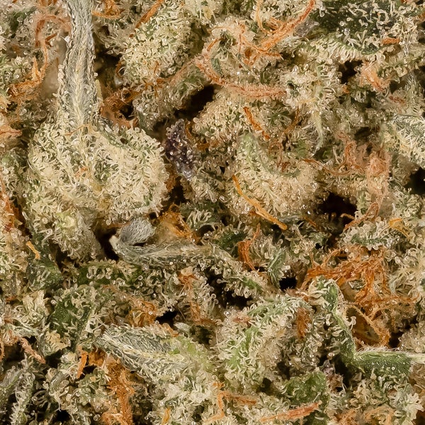 Lucky Farms - Alaskan Thunder Fuck - Image 6