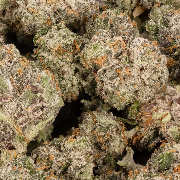 Lucky Farms - Albanian (smalls) - Image 2
