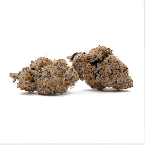 Jungle Ridge - Animal Crackers - Image 3
