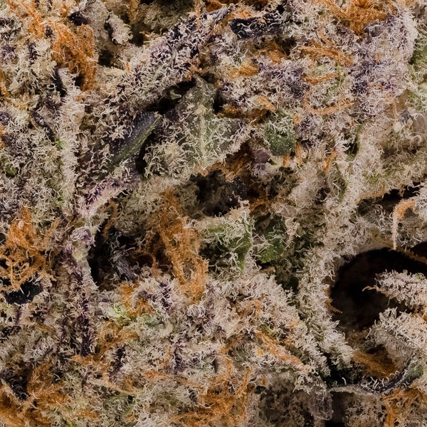 Jungle Ridge - Animal Crackers - Image 5