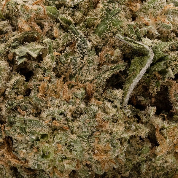 Lucky Farms - Black Cherry Soda - Image 6