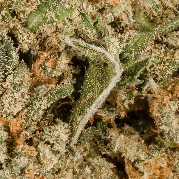 Lucky Farms - Black Cherry Soda - Image 5