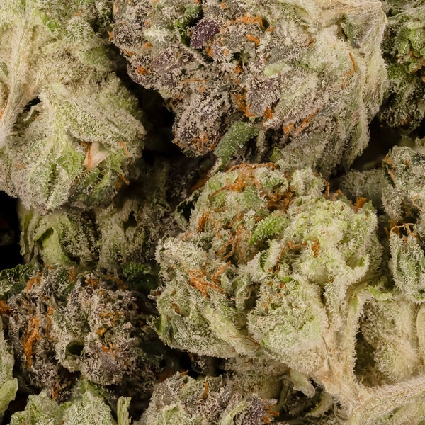 Lucky Farms - Black Gas (smalls) - Image 2