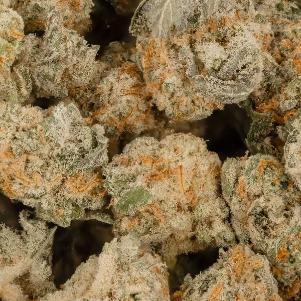 Dollar Treez - Butter Cookies (smalls) - Image 2