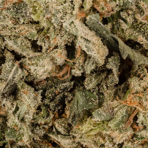 Lucky Farms - Diablo - Image 5