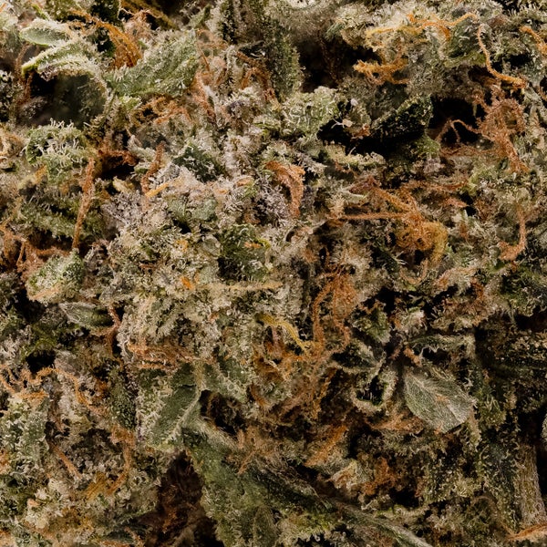 Lucky Farms - Dosi Punch - Image 5