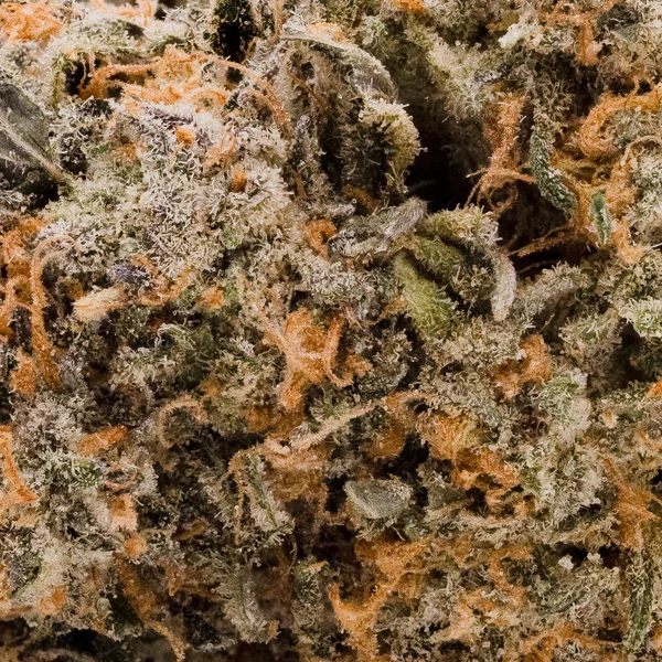 Superdank - Goudaberry - Image 6