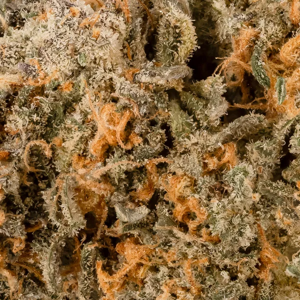 Superdank - Goudaberry - Image 5