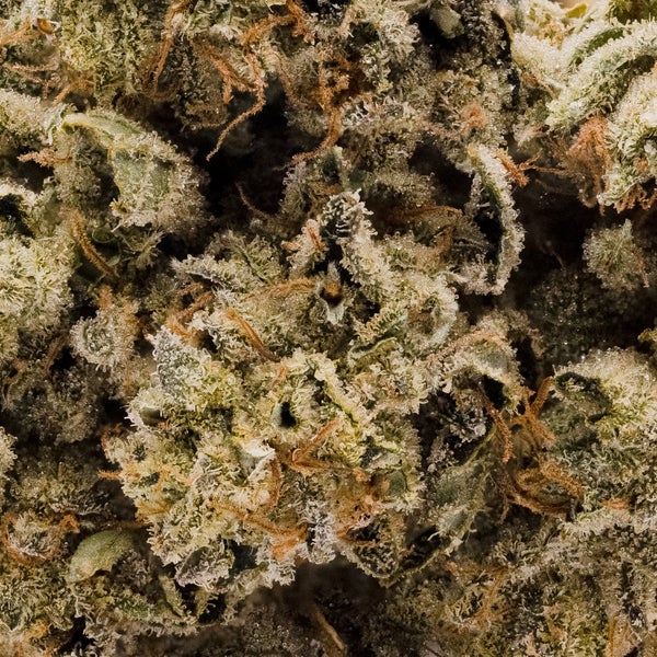 Albatross - Hitman OG - Image 5