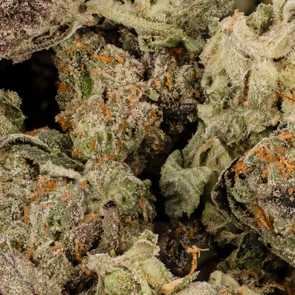 Lucky Farms - MKU (smalls) - Image 2