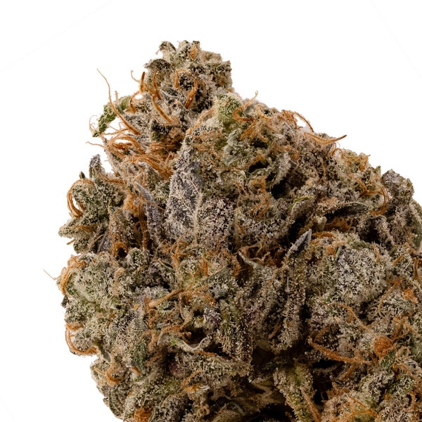 Dollar Treez - Matrix - Image 4