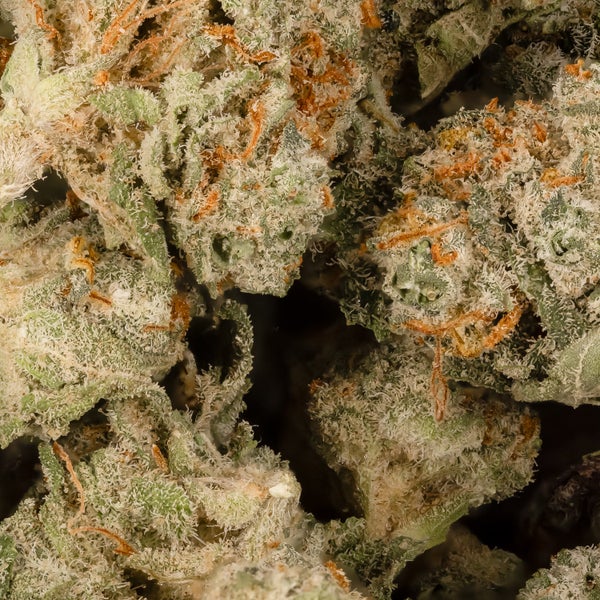 Lucky Farms - Meat Breath (smalls) - Image 2