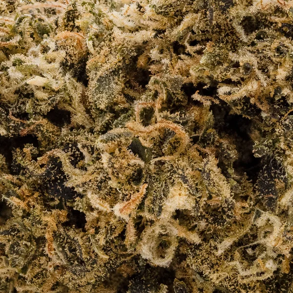People's Choice - OG Kush - Image 6