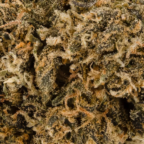 People's Choice - OG Kush - Image 5