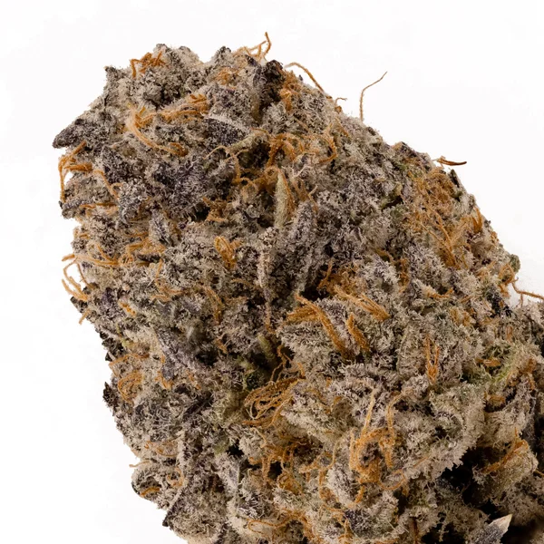 Cream Of The Crop - Oreoz - Image 4