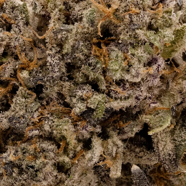 Cream Of The Crop - Oreoz - Image 5