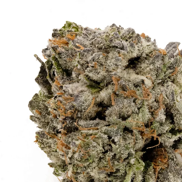 Jungle Ridge - Purple Bubba Kush - Image 4