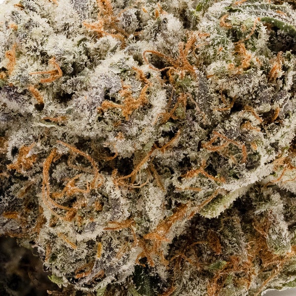 Jungle Ridge - Purple Bubba Kush - Image 5