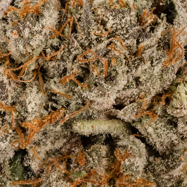 Jungle Ridge - Purple Bubba Kush - Image 6