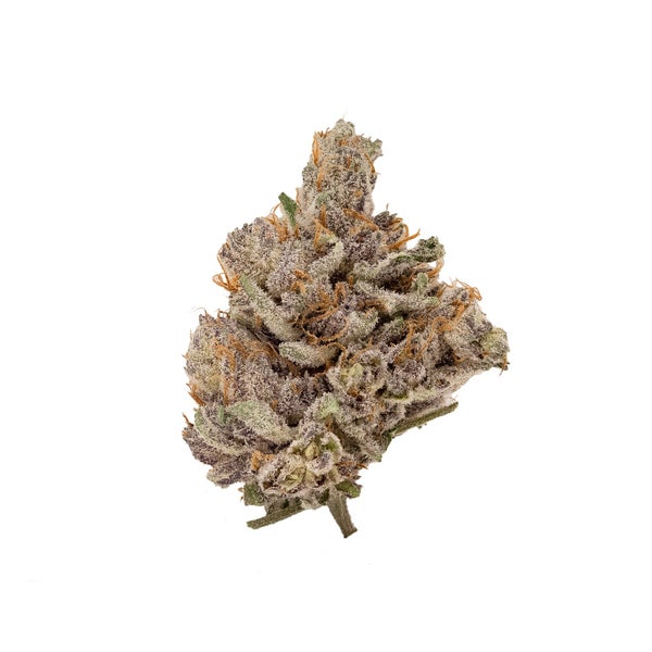 Cream Of The Crop - Shishkaberry