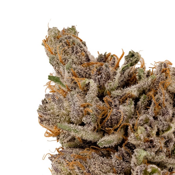 Cream Of The Crop - Shishkaberry - Image 4