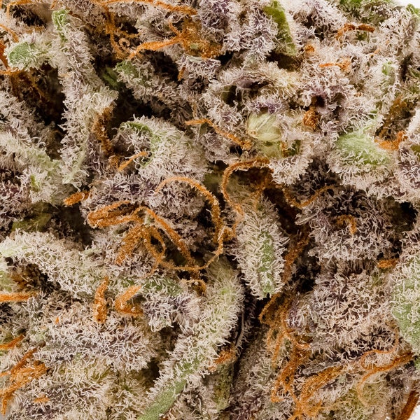 Cream Of The Crop - Shishkaberry - Image 6