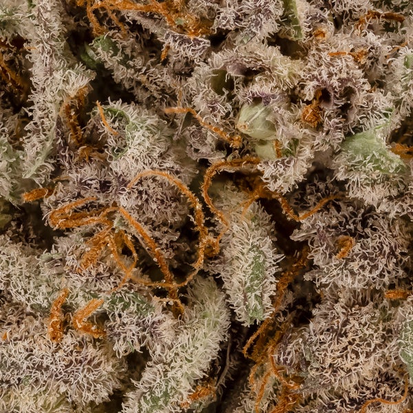 Cream Of The Crop - Shishkaberry - Image 5