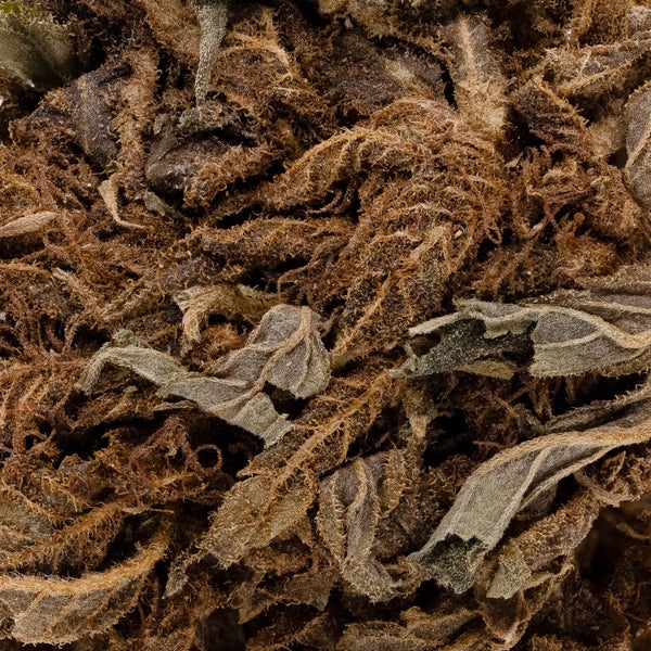 People's Choice - Strawberry Kush - Image 6
