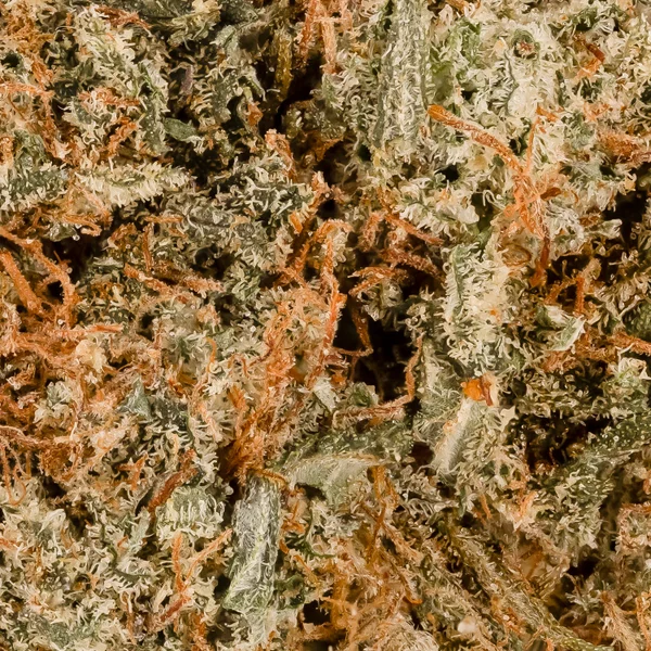 Lucky Farms - Black Diamond - Image 5