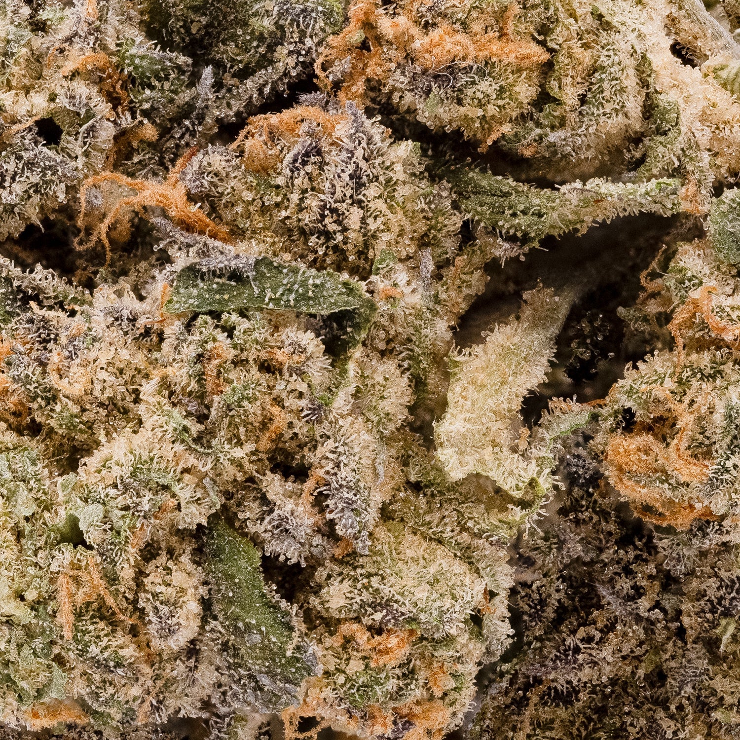 People's Choice - Cookies & Cream - Image 5