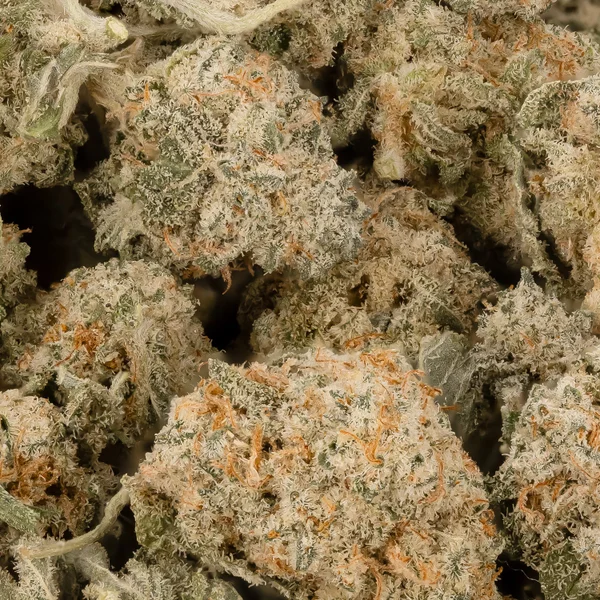 Lucky Farms - GMAC (smalls) - Image 2