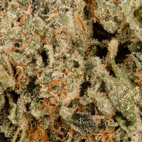 Superdank - Galactic Gas - Image 5