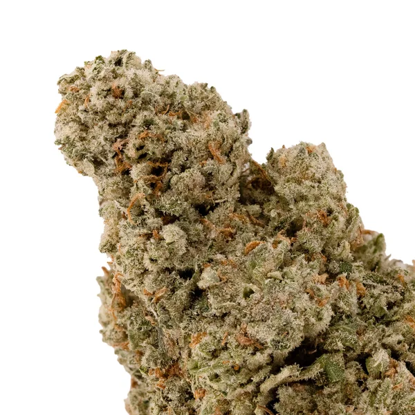 Lucky Farms - Glitter Bomb - Image 4