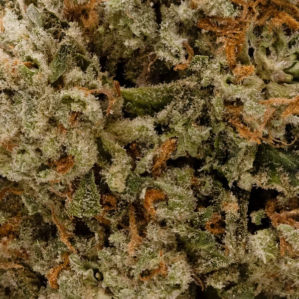 Lucky Farms - Glitter Bomb - Image 5