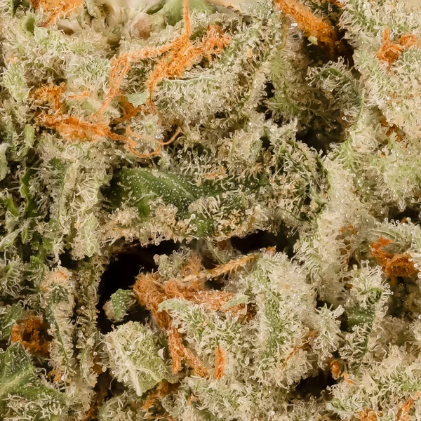 Lucky Farms - Glitter Bomb - Image 6