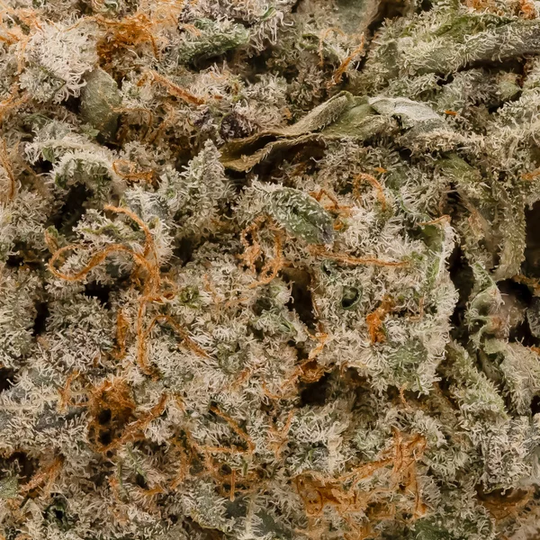 Lucky Farms - Jet Fuel Gelato - Image 6
