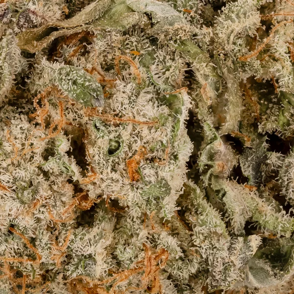 Lucky Farms - Jet Fuel Gelato - Image 5