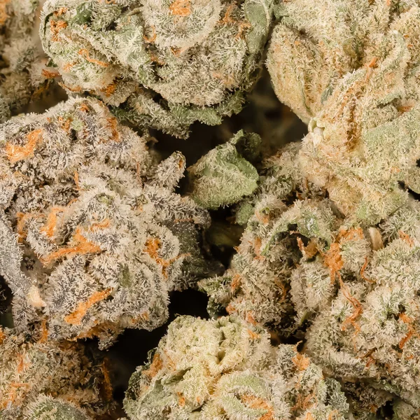 Dollar Treez - Pineapple Express (smalls) - Image 2