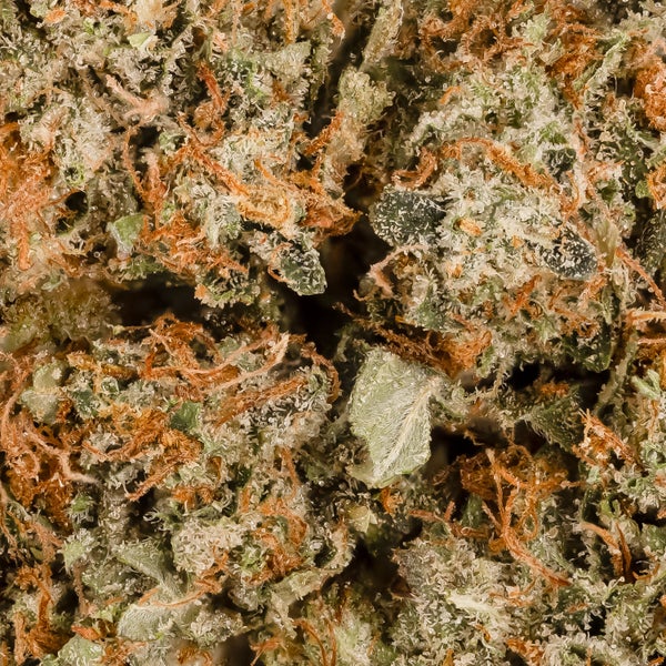 Dollar Treez - Pink Kush - Image 6